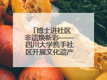 博士进社区 非遗焕新彩——四川大学携手社区开展文化遗产日特别活动
