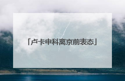 卢卡申科离京前表态