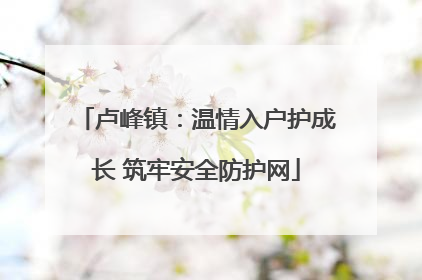 卢峰镇：温情入户护成长 筑牢安全防护网