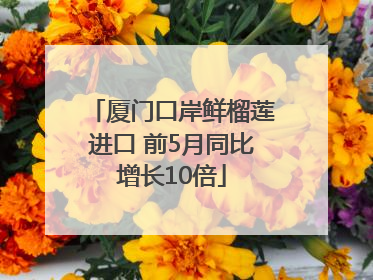 厦门口岸鲜榴莲进口 前5月同比增长10倍