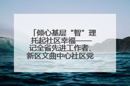 倾心基层“智”理 托起社区幸福——记全省先进工作者、新区文曲中心社区党委书记董世弘