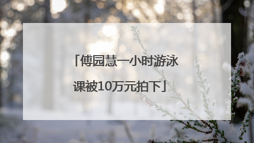 傅园慧一小时游泳课被10万元拍下
