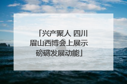 兴产聚人 四川眉山西博会上展示磅礴发展动能