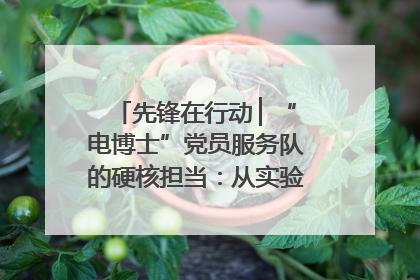 先锋在行动 ▏“电博士”党员服务队的硬核担当：从实验室到抗洪一线