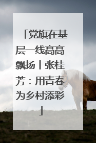 党旗在基层一线高高飘扬丨张桂芳：用青春为乡村添彩