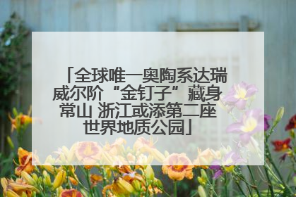 全球唯一奥陶系达瑞威尔阶“金钉子”藏身常山 浙江或添第二座世界地质公园