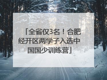 全省仅3名！合肥经开区两学子入选中国国少训练营
