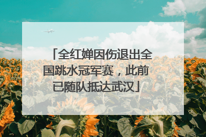 全红婵因伤退出全国跳水冠军赛，此前已随队抵达武汉