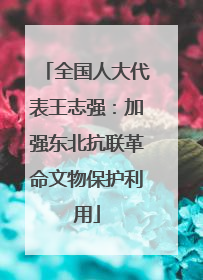 全国人大代表王志强：加强东北抗联革命文物保护利用