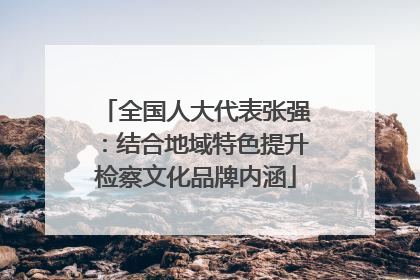 全国人大代表张强：结合地域特色提升检察文化品牌内涵