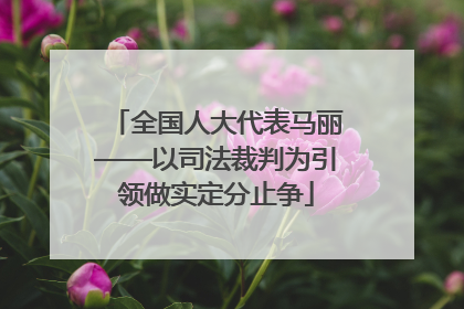 全国人大代表马丽——以司法裁判为引领做实定分止争