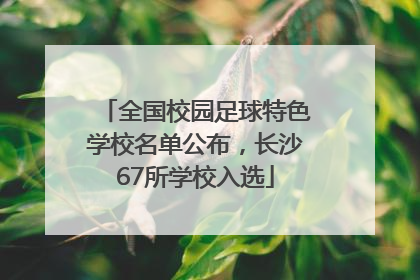 全国校园足球特色学校名单公布，长沙67所学校入选