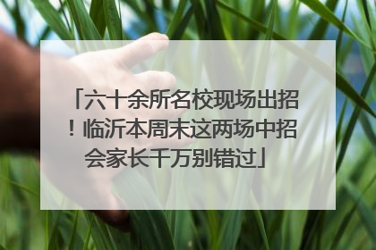 六十余所名校现场出招！临沂本周末这两场中招会家长千万别错过
