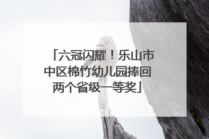 六冠闪耀！乐山市中区棉竹幼儿园捧回两个省级一等奖