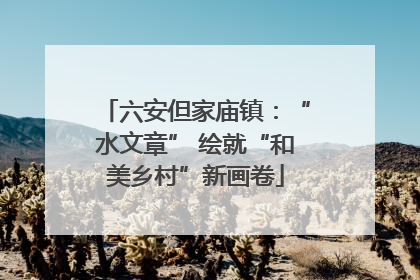 六安但家庙镇：“水文章” 绘就“和美乡村”新画卷