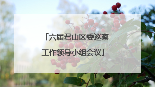 六届君山区委巡察工作领导小组会议