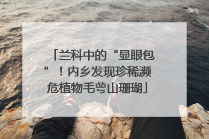 兰科中的“显眼包”！内乡发现珍稀濒危植物毛萼山珊瑚
