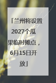 兰州将设置2027个瓜果临时摊点，6月15日开放