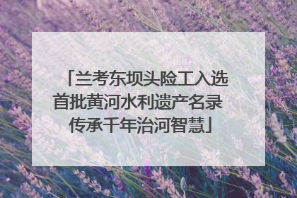 兰考东坝头险工入选首批黄河水利遗产名录 传承千年治河智慧