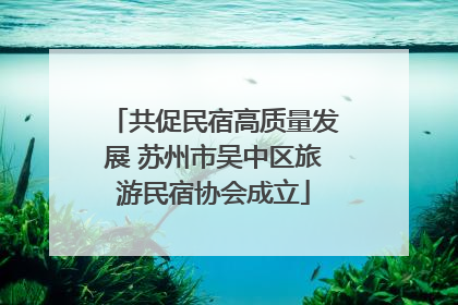 共促民宿高质量发展 苏州市吴中区旅游民宿协会成立