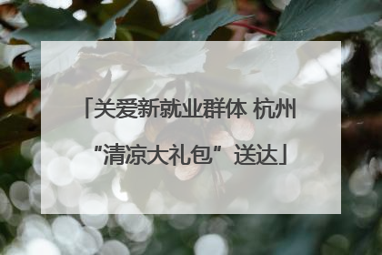 关爱新就业群体 杭州“清凉大礼包”送达