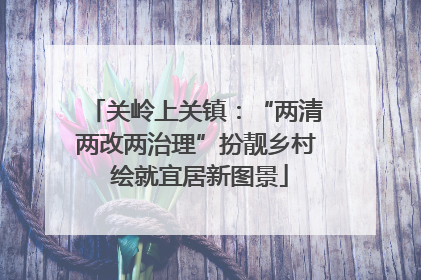 关岭上关镇：“两清两改两治理”扮靓乡村 绘就宜居新图景