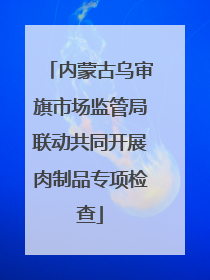 内蒙古乌审旗市场监管局联动共同开展肉制品专项检查