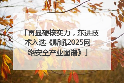 再显硬核实力，东进技术入选《嘶吼2025网络安全产业图谱》