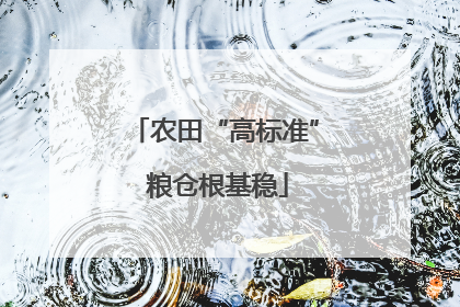 农田“高标准” 粮仓根基稳