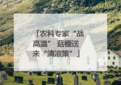 农科专家“战高温” 菇棚送来“清凉策”