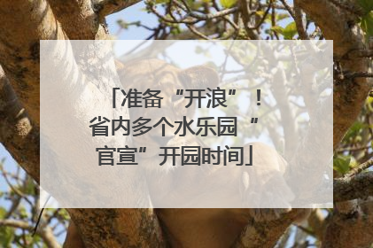 准备“开浪”！省内多个水乐园“官宣”开园时间