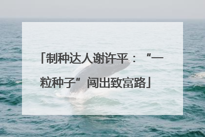 制种达人谢许平：“一粒种子”闯出致富路