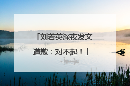 刘若英深夜发文道歉：对不起！