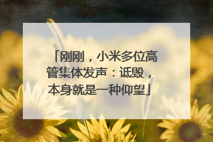 刚刚，小米多位高管集体发声：诋毁，本身就是一种仰望