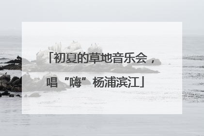 初夏的草地音乐会，唱“嗨”杨浦滨江