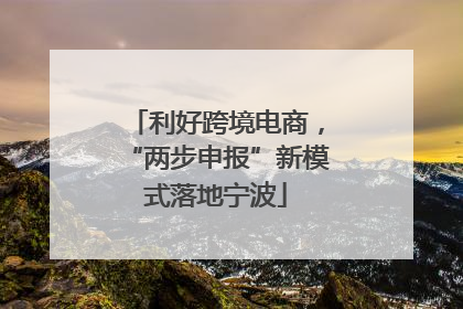 利好跨境电商，“两步申报”新模式落地宁波