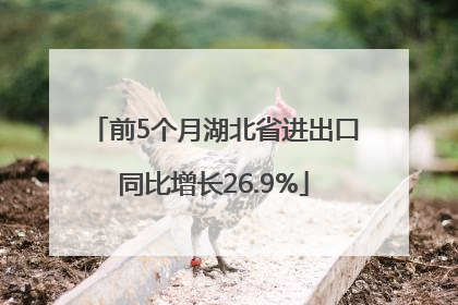 前5个月湖北省进出口同比增长26.9%