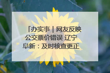 办实事｜网友反映公交票价错误 辽宁阜新：及时核查更正 加强实时巡检
