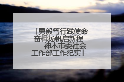 勇毅笃行践使命 奋楫扬帆启新程——神木市委社会工作部工作纪实