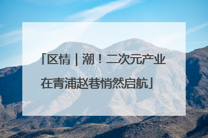 区情｜潮！二次元产业在青浦赵巷悄然启航