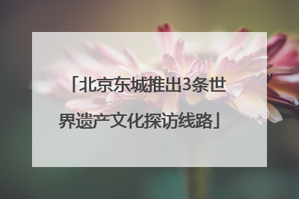 北京东城推出3条世界遗产文化探访线路
