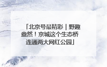 北京号最精彩｜野趣盎然！京城这个生态桥连通两大网红公园
