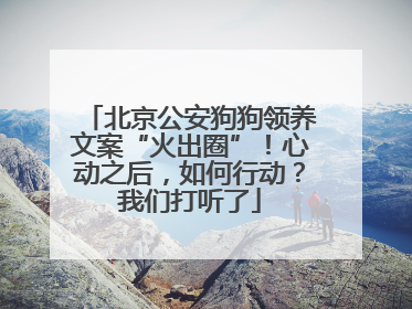 北京公安狗狗领养文案“火出圈”！心动之后，如何行动？我们打听了