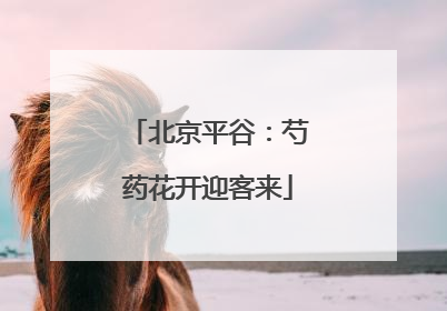 北京平谷：芍药花开迎客来
