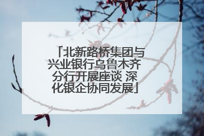 北新路桥集团与兴业银行乌鲁木齐分行开展座谈 深化银企协同发展