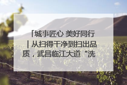 城事匠心 美好同行｜从扫得干净到扫出品质，武昌临江大道“洗”出洁净样板路