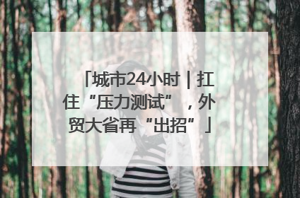 城市24小时｜扛住“压力测试”，外贸大省再“出招”