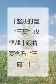 坚决打赢“三夏”攻坚战丨跟着麦客看“三夏”