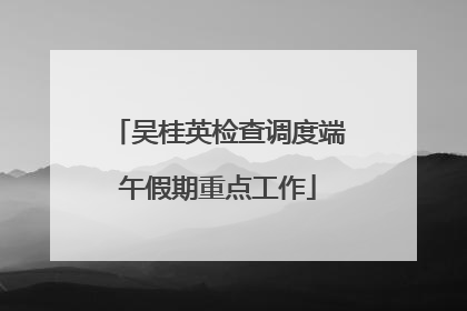 吴桂英检查调度端午假期重点工作