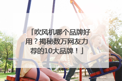 吹风机哪个品牌好用？揭秘数万网友力荐的10大品牌！